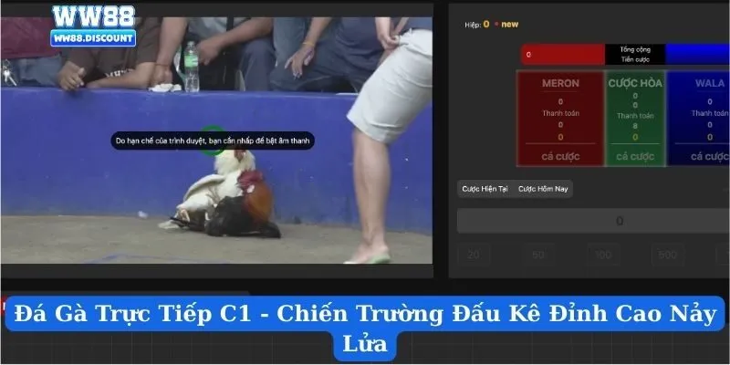 Đá Gà Trực Tiếp C1 - Chiến Trường Đấu Kê Đỉnh Cao Nảy Lửa