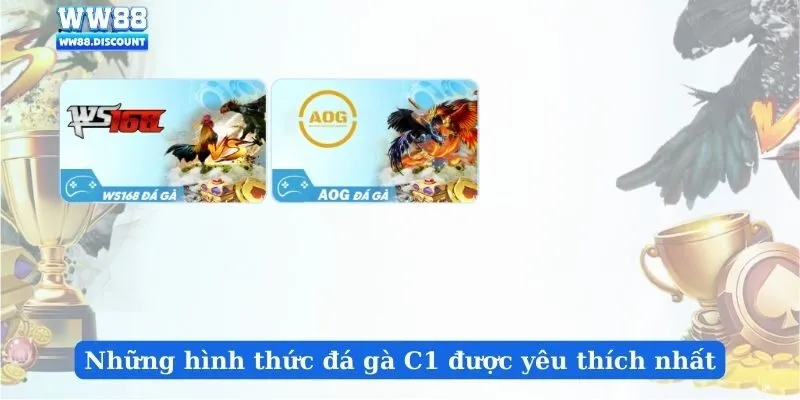 Những hình thức đá gà C1 được yêu thích nhất