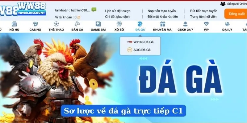 Sơ lược về đá gà trực tiếp C1