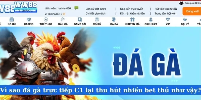 Vì sao đá gà trực tiếp C1 lại thu hút nhiều bet thủ như vậy?