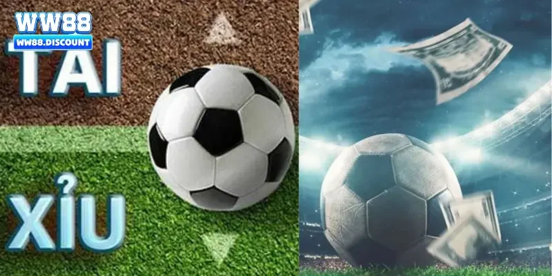 Khám phá thông tin về kèo tài xỉu cho người mới